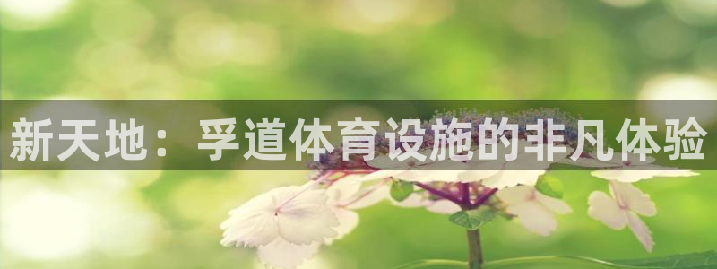 意昂体育4招商：新天地：孚道体育设施的非凡体验