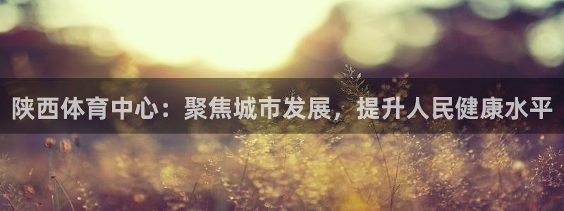 意昂体育4招商电话号码：陕西体育中心：聚焦城市发展，