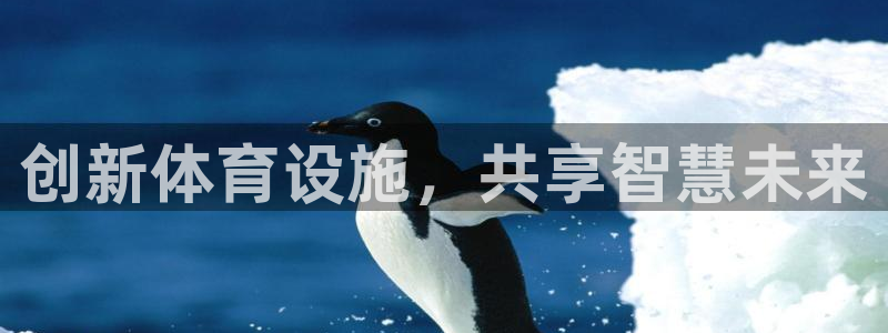 意昂体育4招商电话是多少：创新体育设施，共享智慧未来