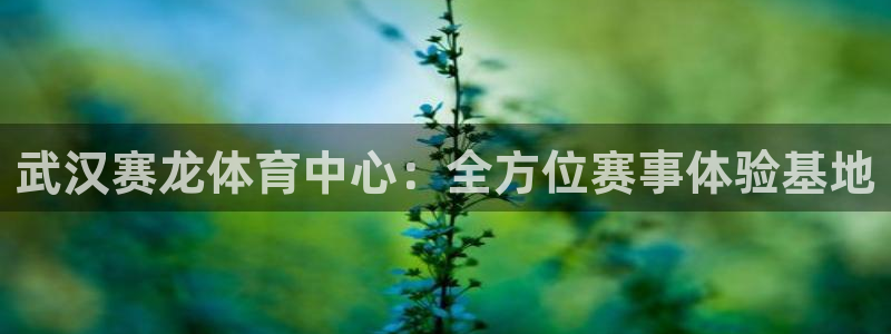 意昂体育4招商电话号码是多少：武汉赛龙体育中心：全方