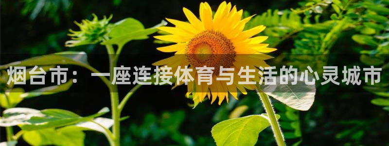 意昂平台体育：烟台市：一座连接体育与生活的心灵城市