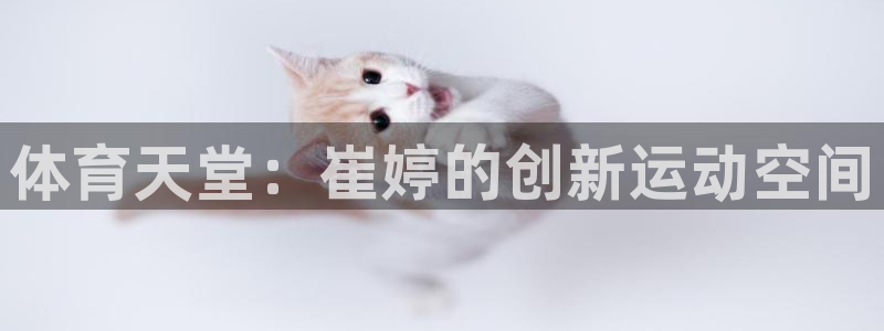 意昂体育4联系电话：体育天堂：崔婷的创新运动空间