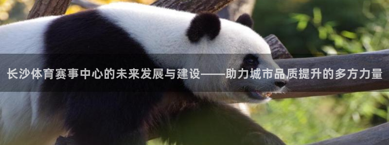 意昂体育4招商电话：长沙体育赛事中心的未来发展与建设
