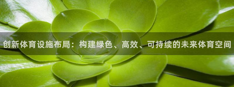 意昂体育4软件：创新体育设施布局：构建绿色、高效、可
