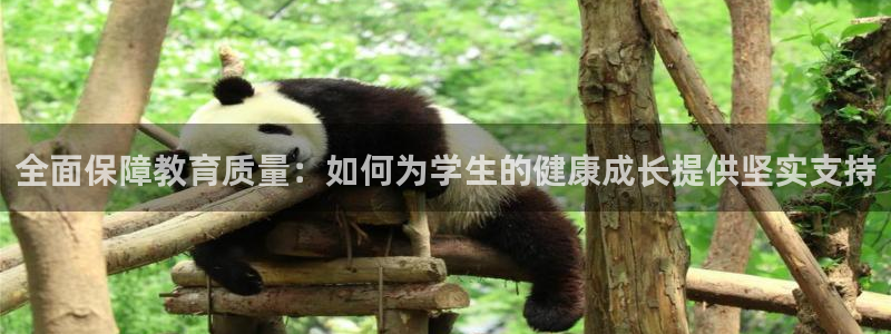 意昂4娱乐首页网站大全：全面保障教育质量：如何为学生