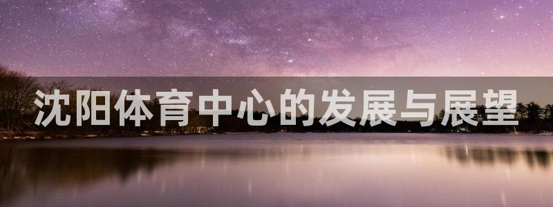 意昂体育4招商：沈阳体育中心的发展与展望