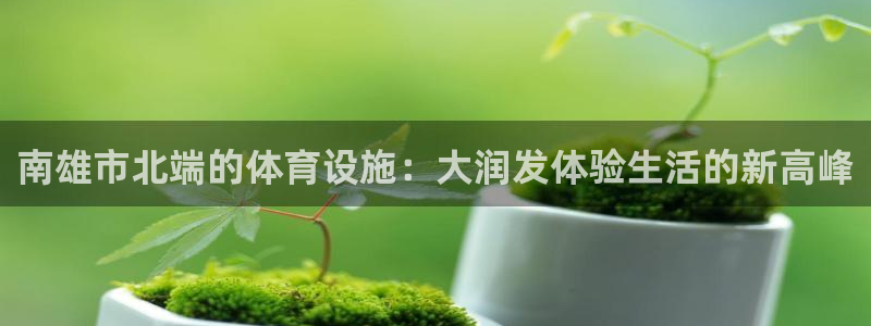 意昂体育4是干嘛的公司：南雄市北端的体育设施：大润发