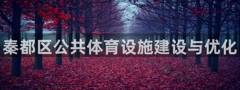 意昂体育4平台注册流程图：秦都区公共体育设施建设与优