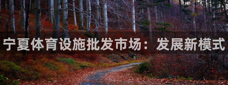 意昂体育4招商电话号码是多少号：宁夏体育设施批发市场
