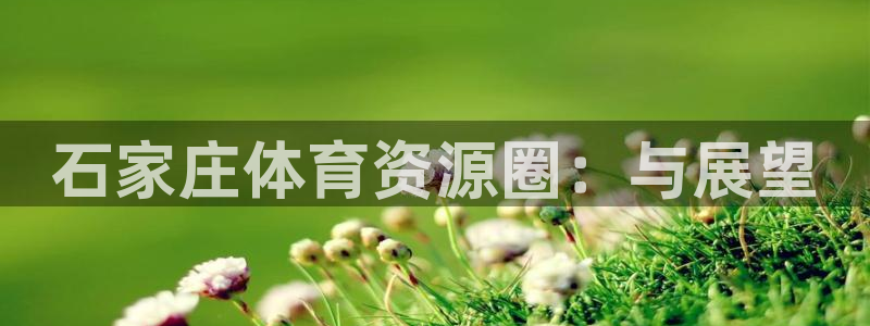 意昂4官方：石家庄体育资源圈：与展望