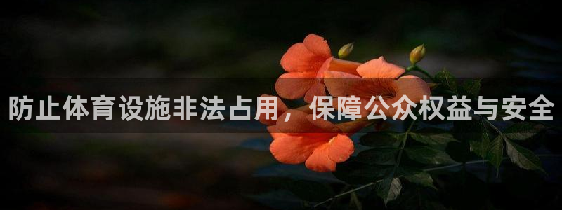 意昂体育4招商电话：防止体育设施非法占用，保障公众权