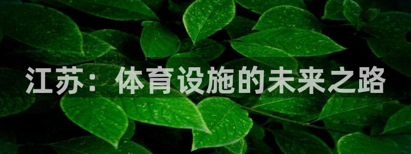 意昂体育4娱乐：江苏：体育设施的未来之路