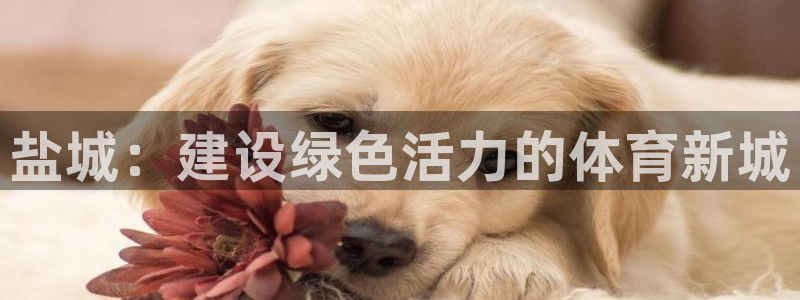 德国意昂4集团：盐城：建设绿色活力的体育新城