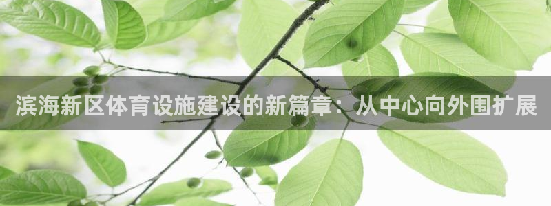 意昂体育4官方客服电话：滨海新区体育设施建设的新篇章